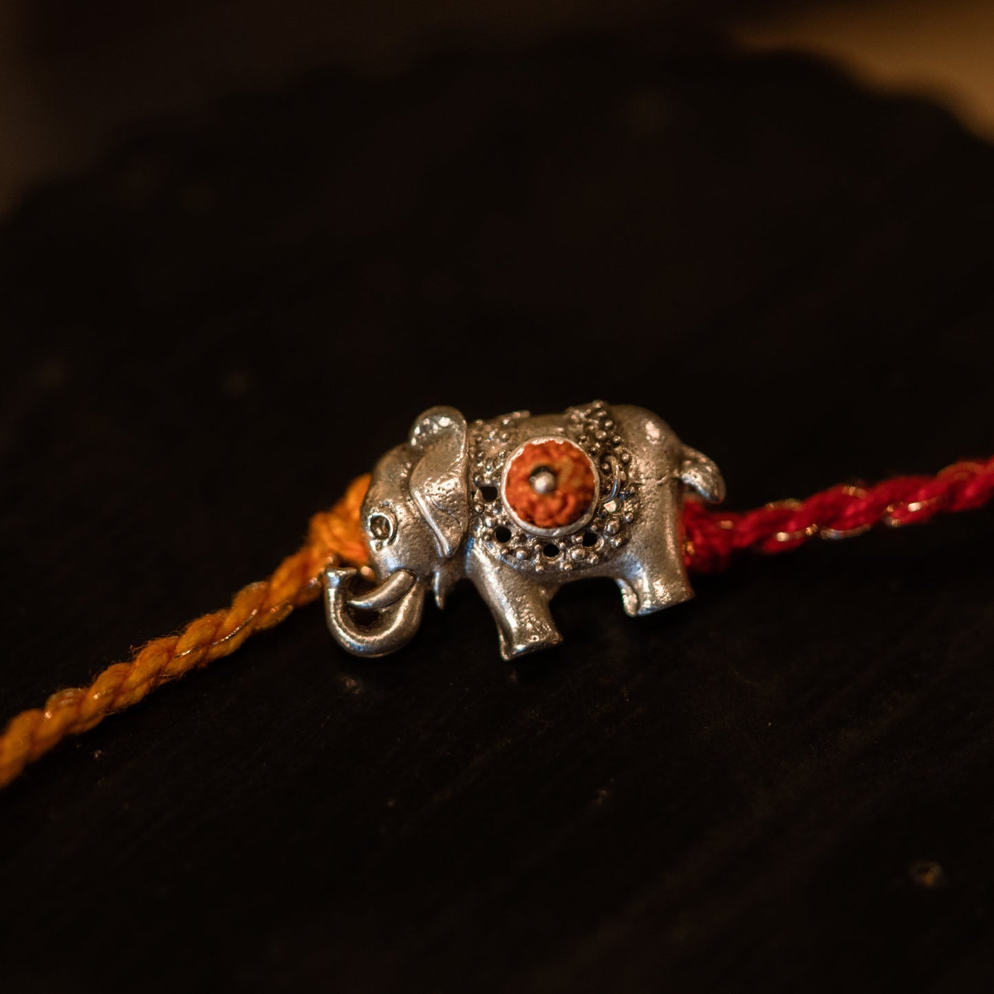 VIGHNARAJ RAKHI